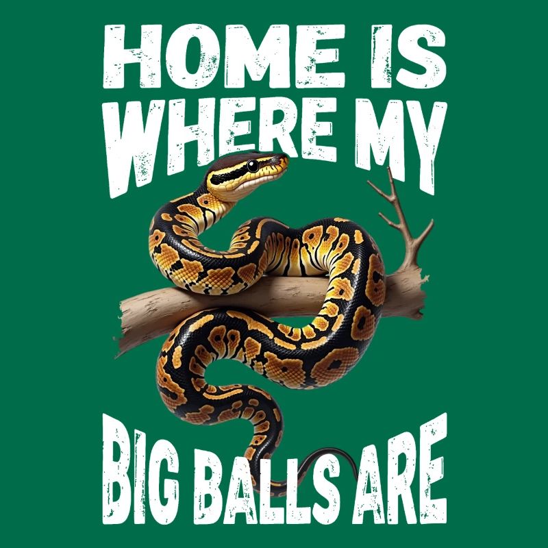 Python roi Serpents Amateurs de terrarium Python