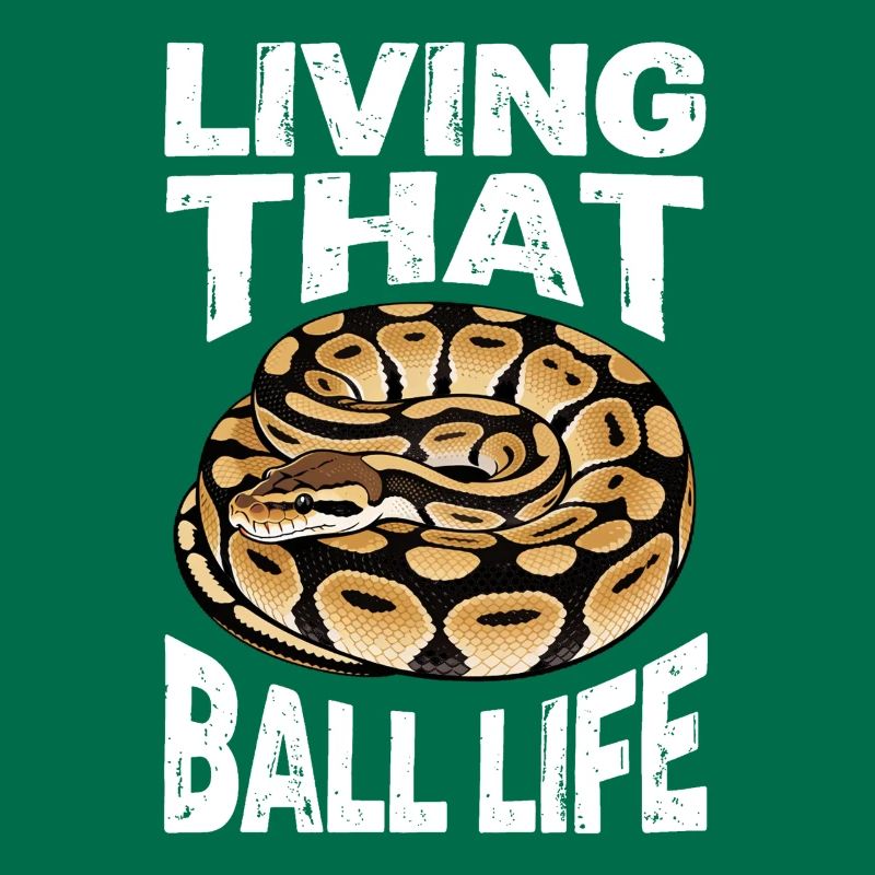 Python roi Serpents Amateurs de terrarium Python