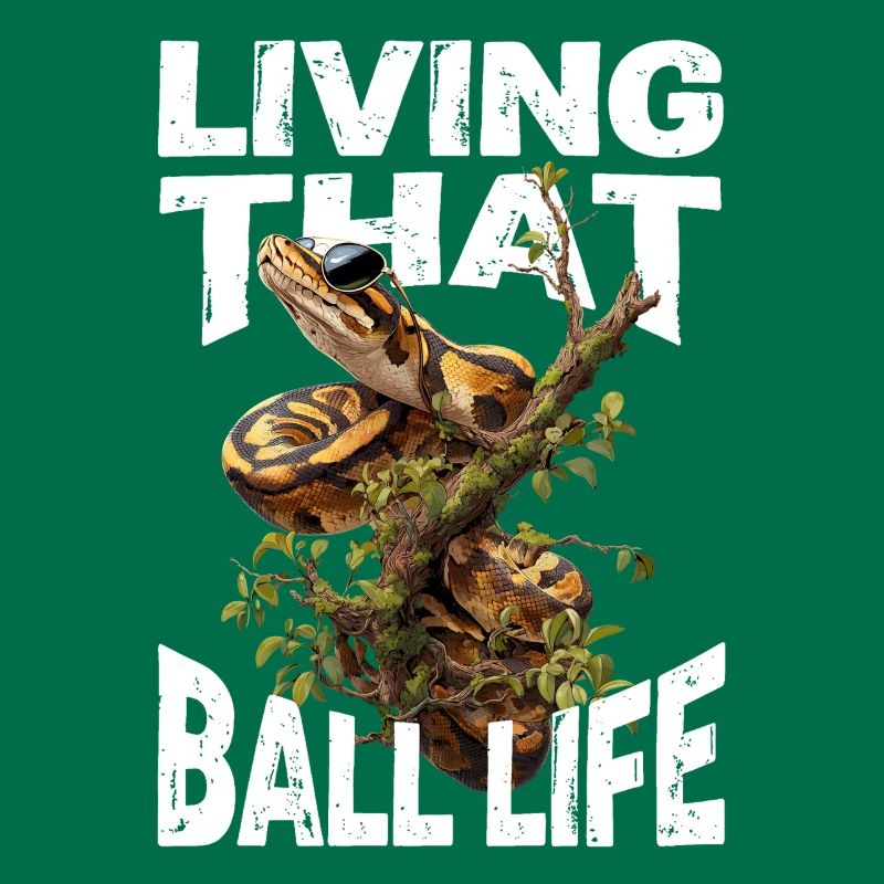 Python roi Serpents Amateurs de terrarium Python