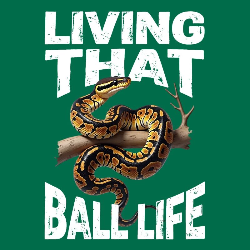 Python roi Serpents Amateurs de terrarium Python