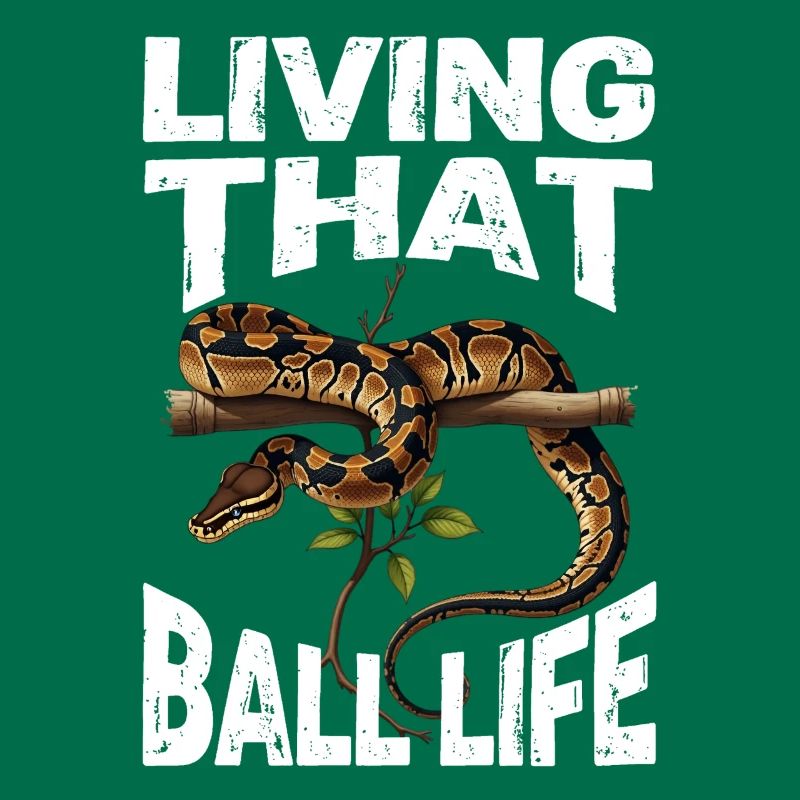 Python roi Serpents Amateurs de terrarium Python