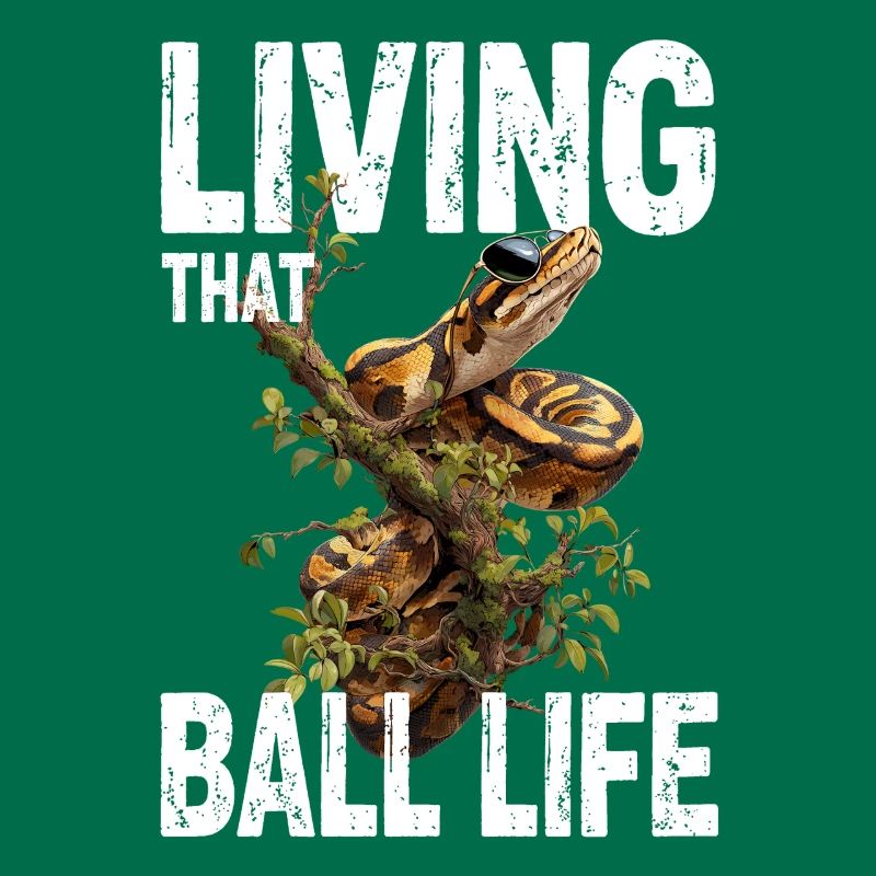 Python roi Serpents Amateurs de terrarium Python