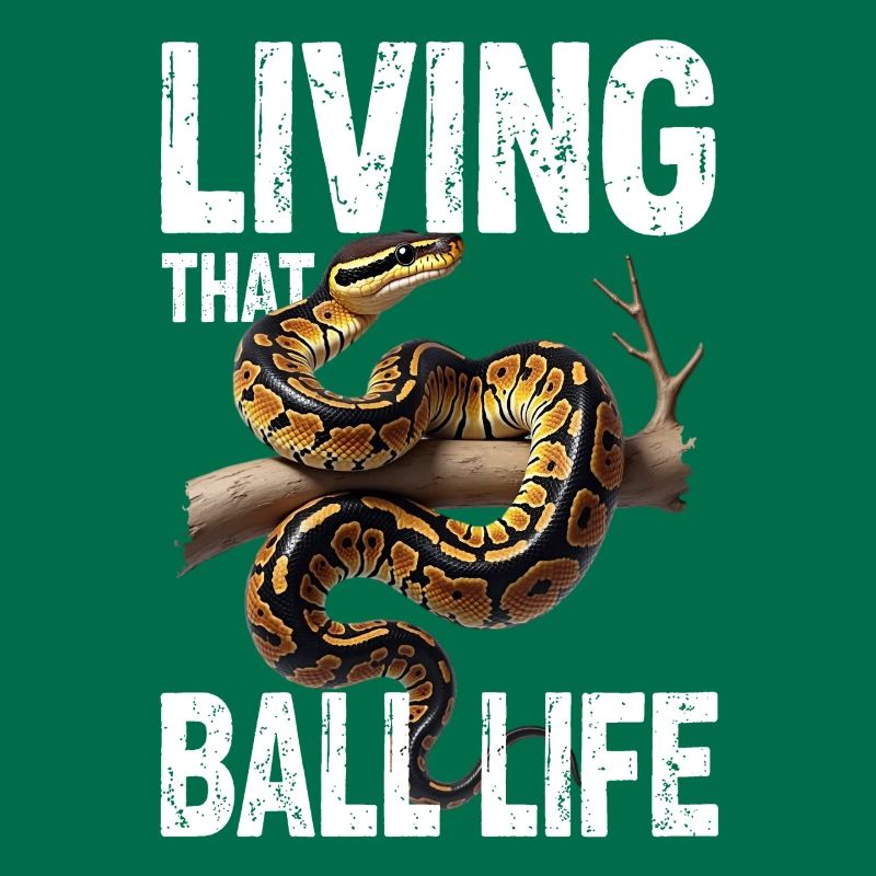 Python roi Serpents Amateurs de terrarium Python