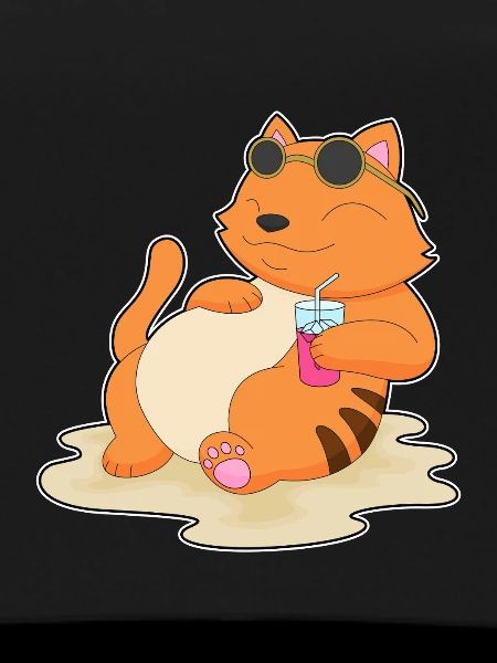 Cat Beach Drink Summer