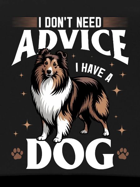 Shetland Sheepdog Sheltie Dog Breed