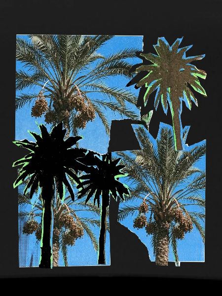 Date Palm Trees Risography