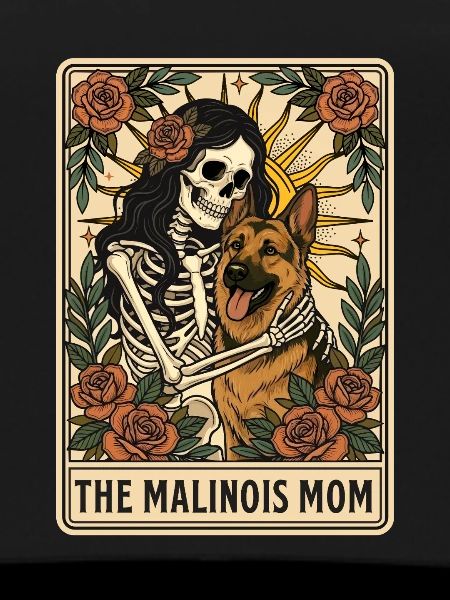 Der Malinois-Mama-Belgischer Schäferhund