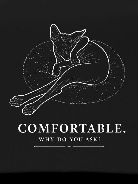 Sphynx Cat – Comfortable
