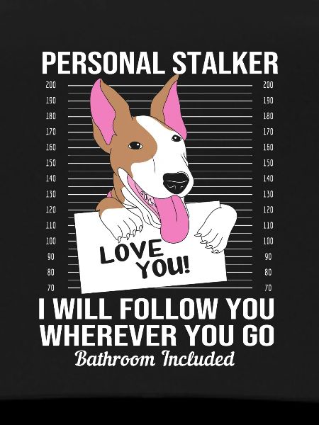 Bullterrier