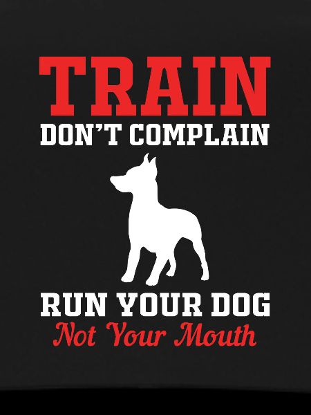 Hundetrainer