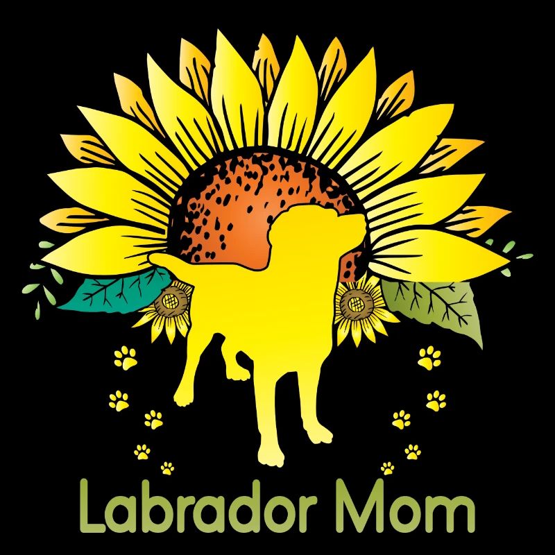 Drôle de maman Labrador