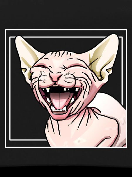 Sphynx Cat
