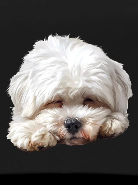 Maltese