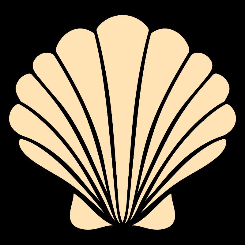 coquillage