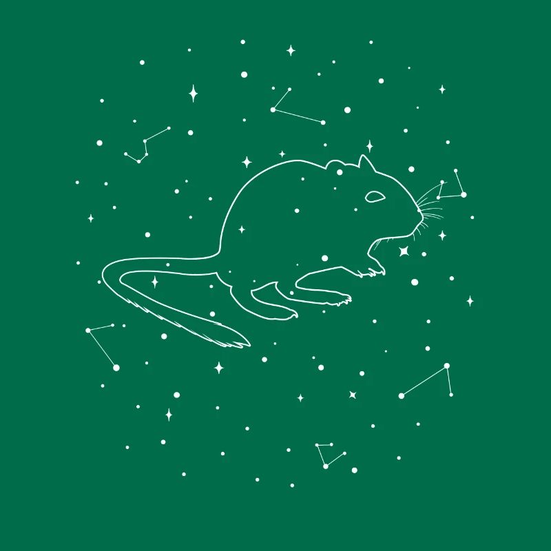 Sternbild Degu Constellation Octodon Rodent