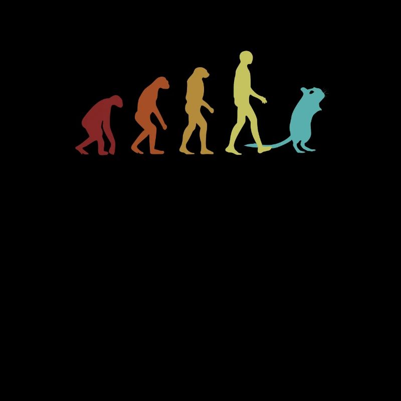 Degu Evolution Nagetier Strauchratte Ratte