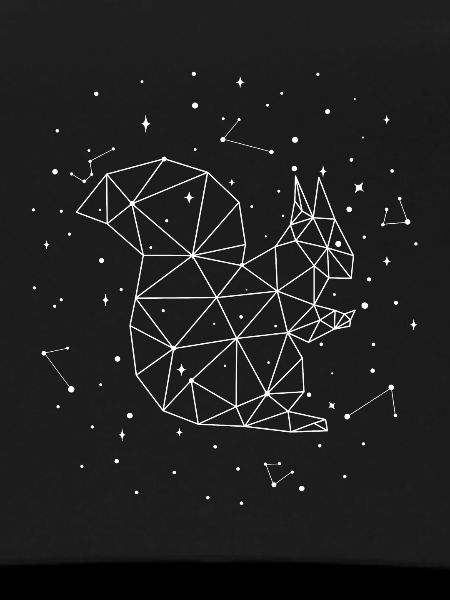 Constellation Squirrel Constellation Squirrel