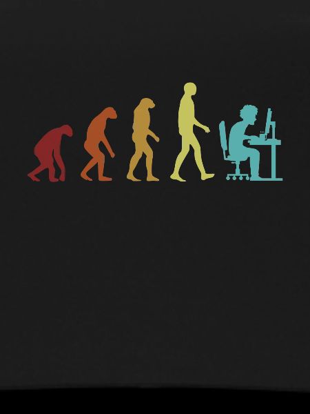 Programmer Evolution Softwareingenieur Coder