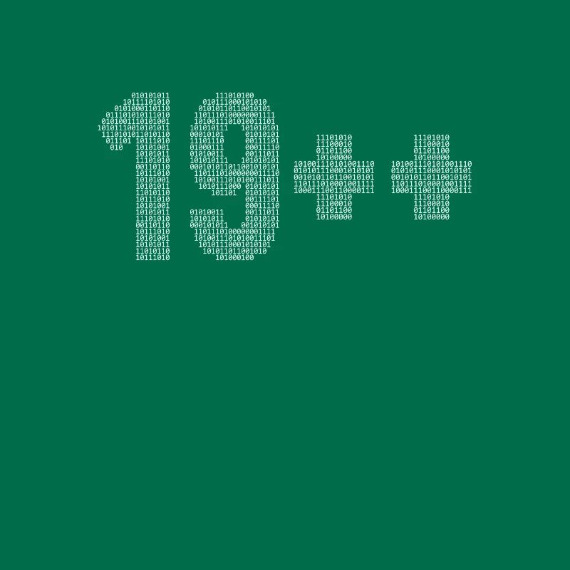 19++ Programmierer Softwareingenieur Coder 20.