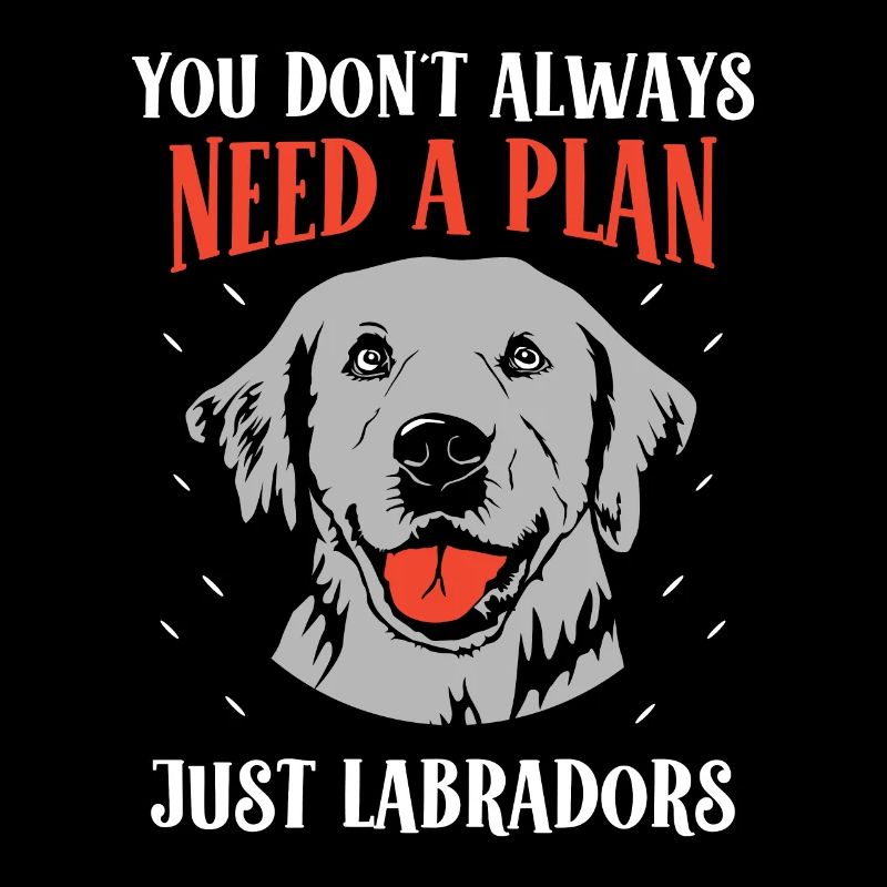 You don´t always need a plan just Labradors