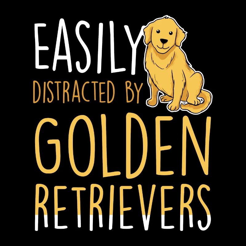 Easily distracted by Golden retrievers