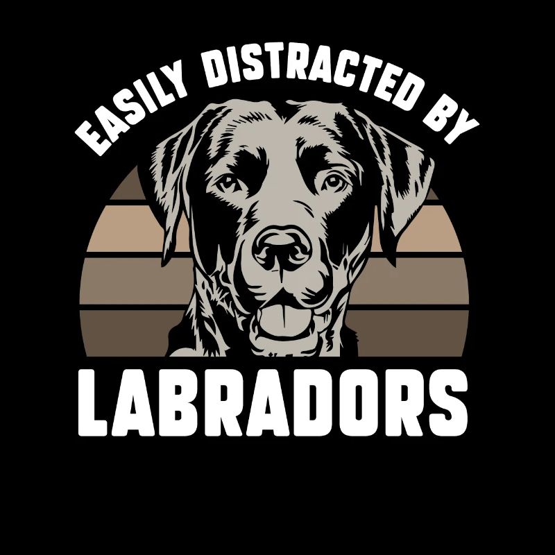 Easily distracted by Labradors