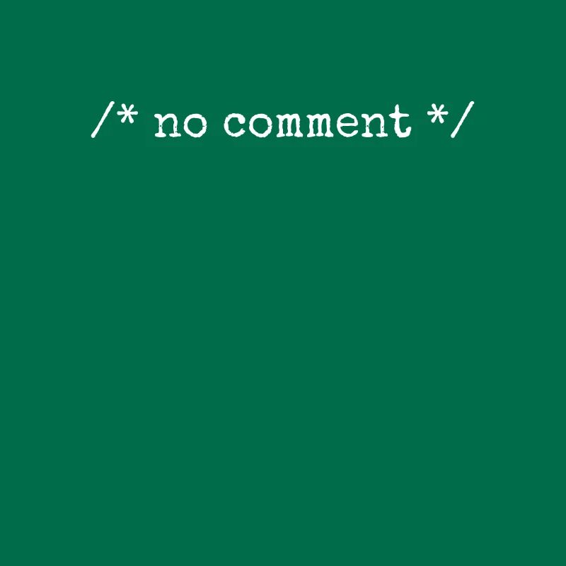 No Comment Developer Softwareentwickler Coder