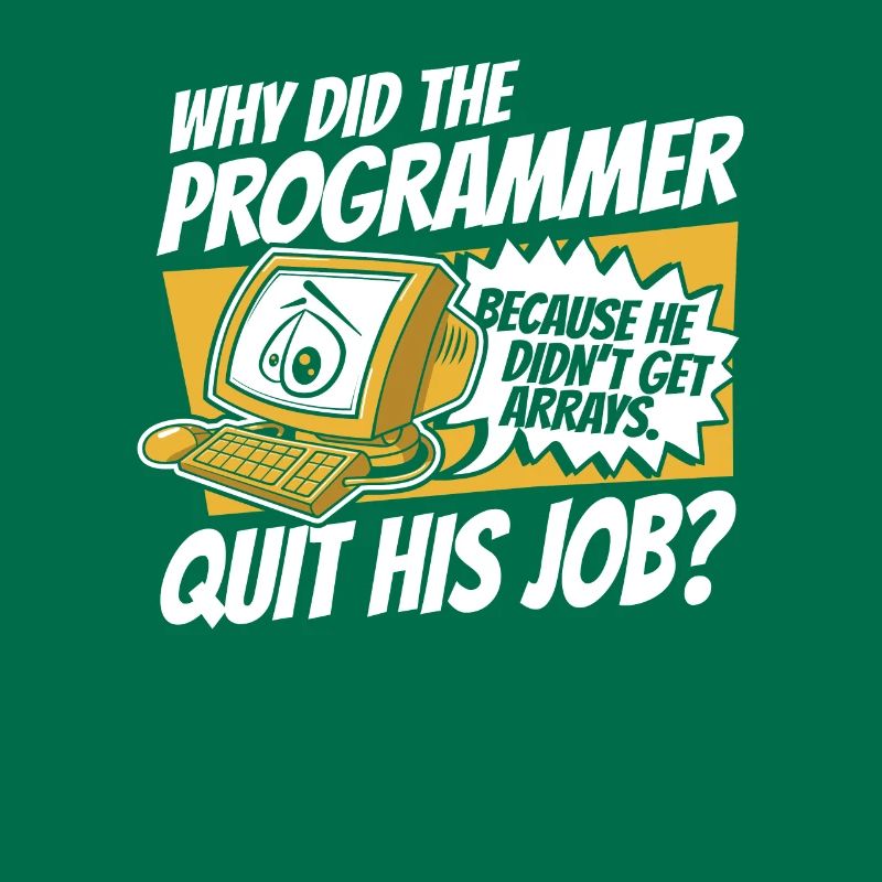 Why Did Programmer Quit Job Developer Coder