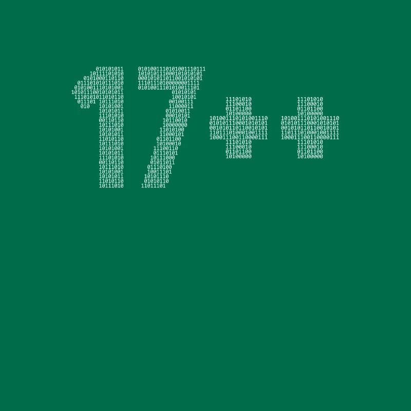 17++ Programmeur Développeur Codeur 18e anniversaire
