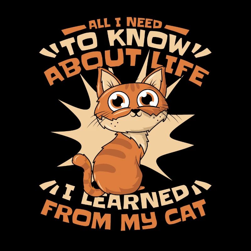 I Learned From My Cat Kitten Domestic Cat