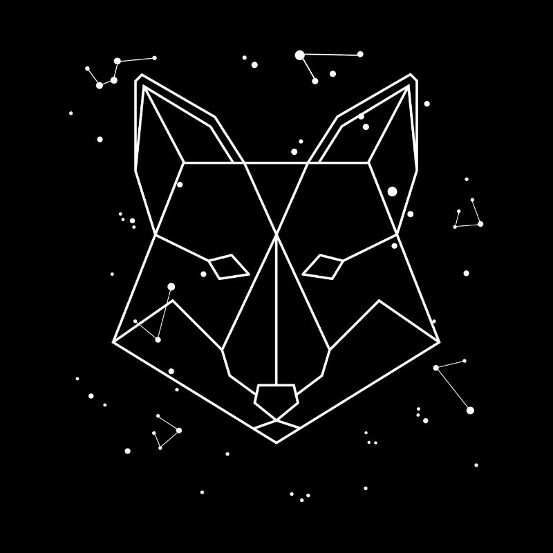 Sternbild Fox Constellation Caninae Red Fox