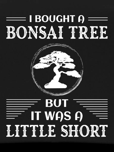 Bonsai Tree