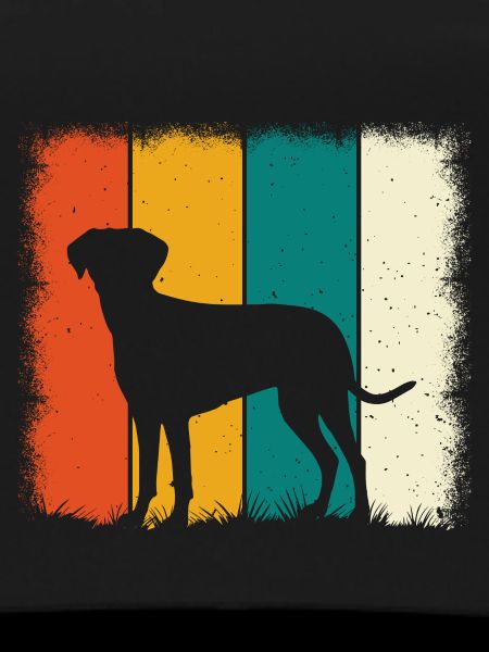 Labrador Retro