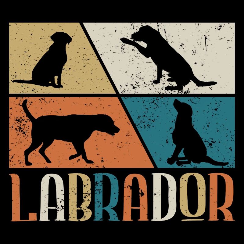 Labrador