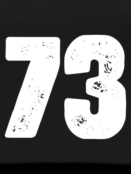 73 Number jersey