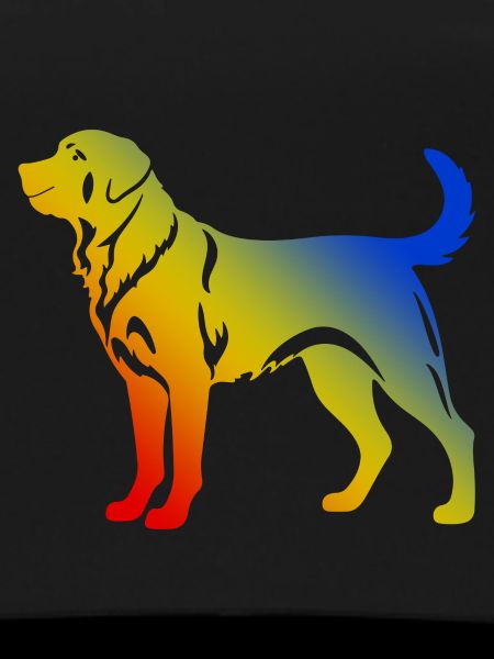 Kangal Dog