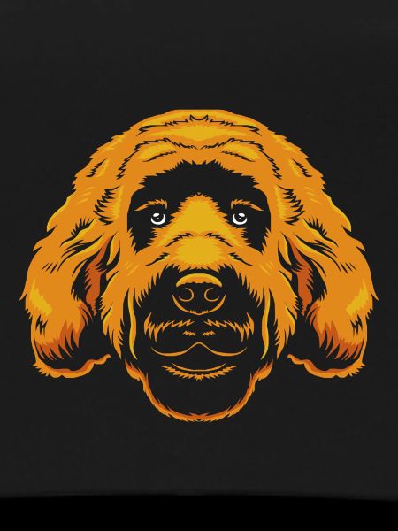 Goldendoodle