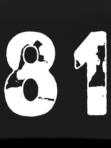 81 Number jersey