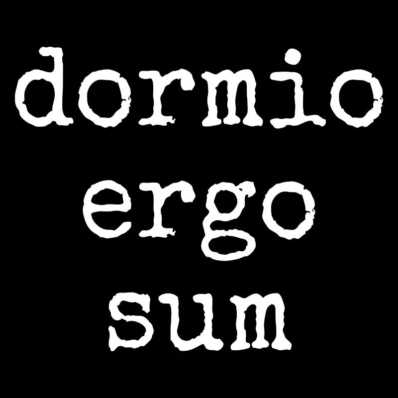 dormio ergo sum - ich schlafe also bin ich. Spruch
