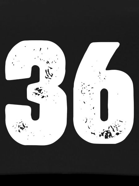 36 Number jersey