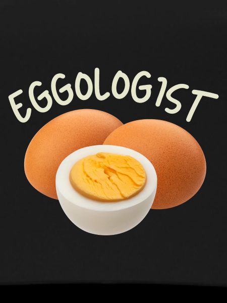 Egg, eggs, funny saying