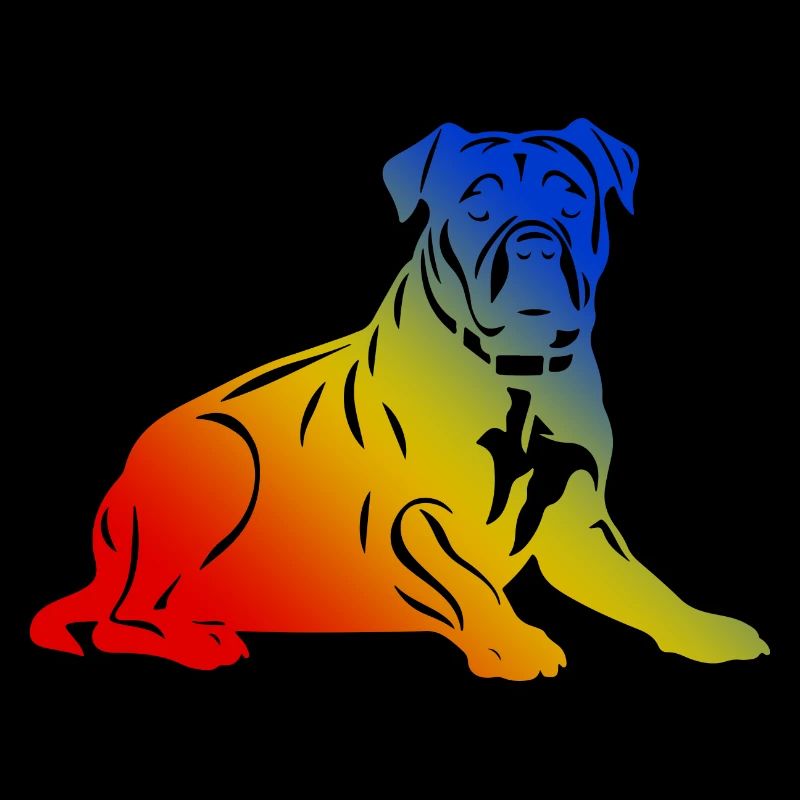 Pit Terrier Hund