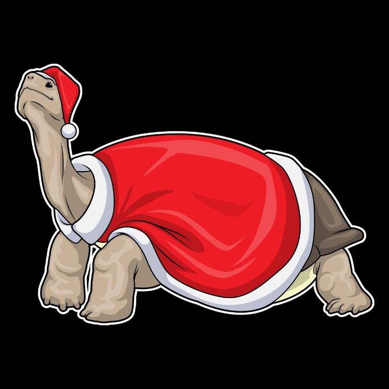 Turtle Christmas Santa Hat