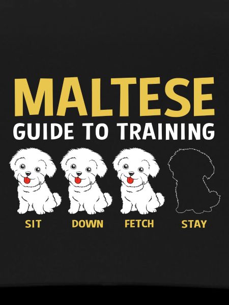 Maltese Dog