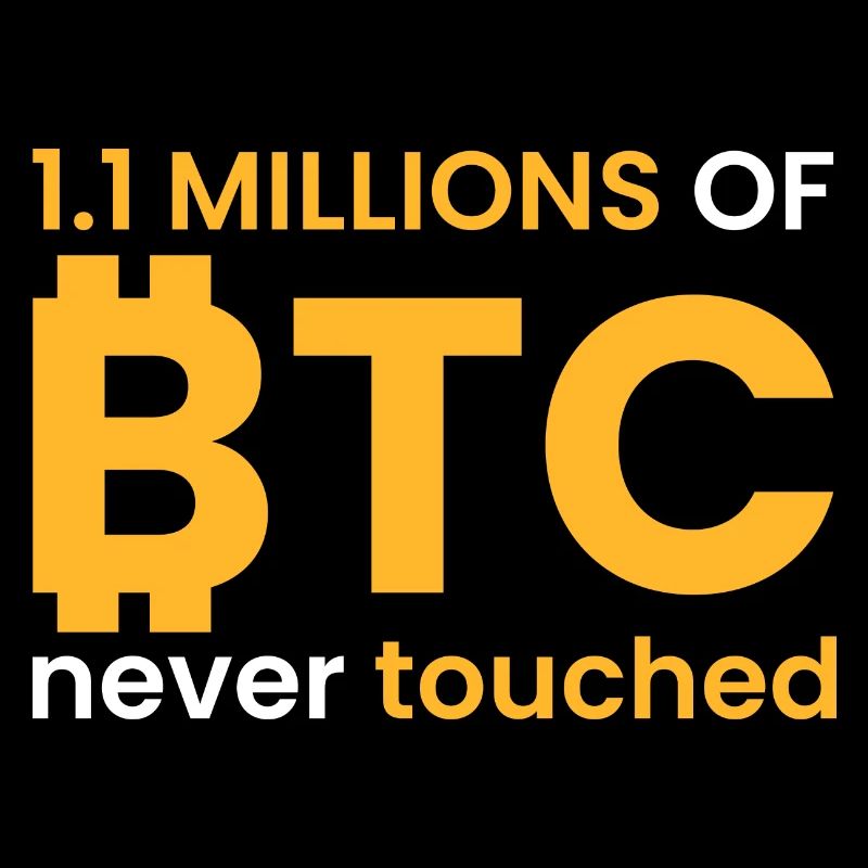 1.1 million BTC not touched