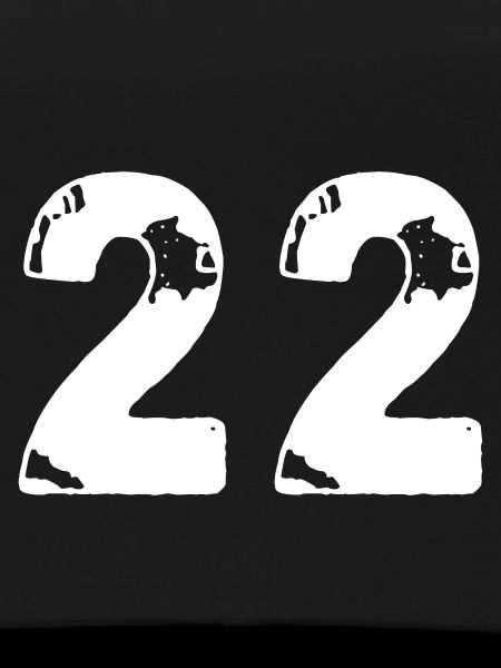 22 Number jersey