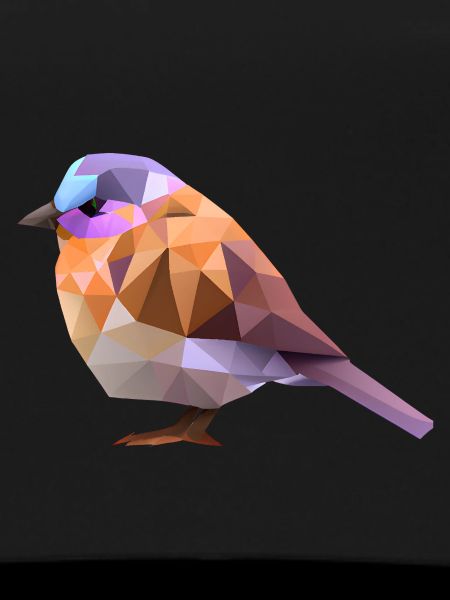 Polygon Bird Design