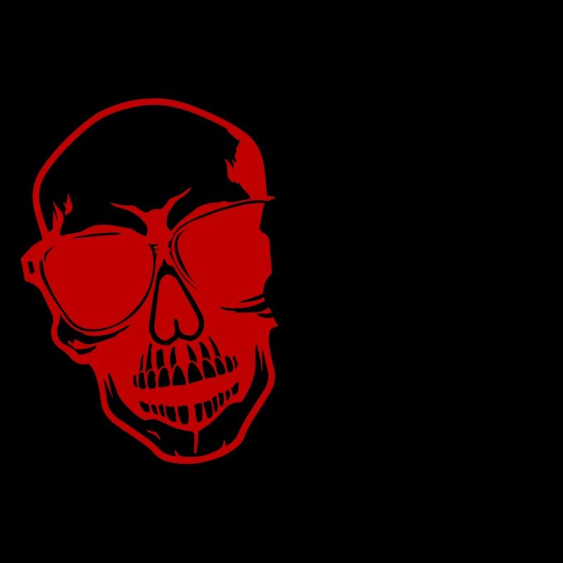 Stylish skull