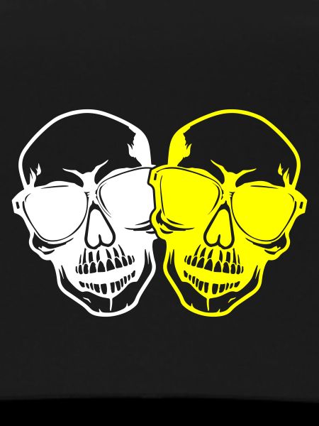 Stylish skull