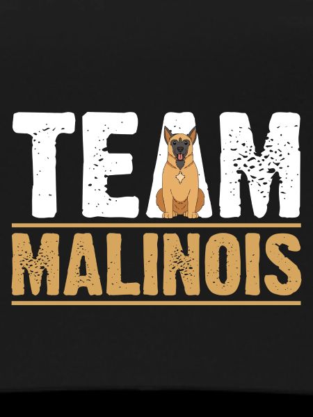 Dog Malinois